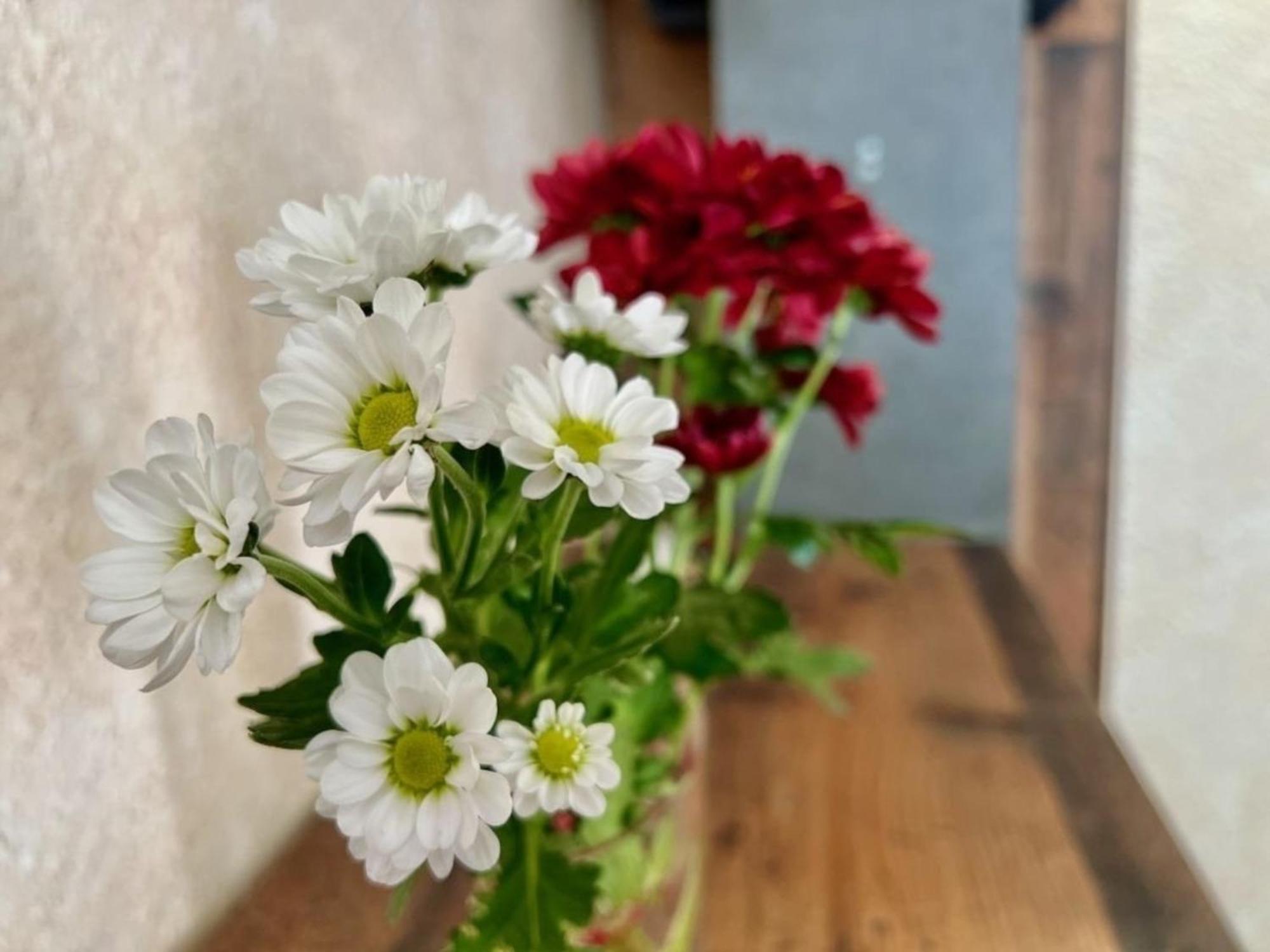 Radlereck Daire Wasungen Dış mekan fotoğraf